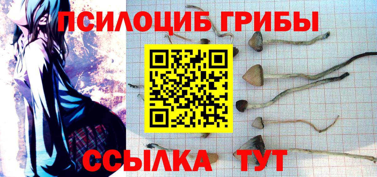Саянск  Псилоцибиновые грибы Cubensis  Вход с VPN 